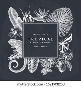 Tropical wreath design on chalkboard. Vector invitation and greeting card with hand drawn tropical plants, exotic flowers, palm leaves, insects and chameleon. Vintage jungle template.
