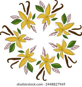Tropical  wreath, frame. Vector decor, doodle style. 
Vanilla flowers
