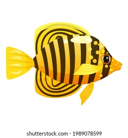 Tropical yellow fish, coral reef exotic pet animal. Aquarium sea life, vector illustartion cartoon style