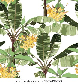 Tropical yellow plumeria branch, palm trees, banana tree floral seamless pattern white background. Exotic jungle wallpaper.