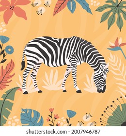 Tropical zebra abstract background poster. with hand drawn illustrations.
