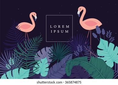 tropical/flamingo template vector/illustration