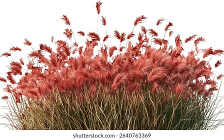 Tropics grass fields, red flora, high meadow, vector design, tropical plants, nature landscape, vibrant flora, green grass, summer field, outdoor plants, scenic view, meadow greenery