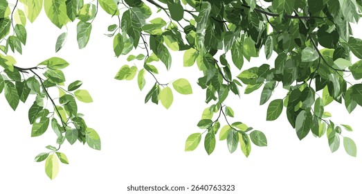 Tropics greenery tree branch leafs foreground, isolated green leaves, lush tropical foliage, nature background, vibrant green leaves, jungle plant life, tropical rainforest