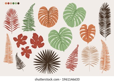 Tropics leaves vector beige 
 modern. Color green, trend ornament terra