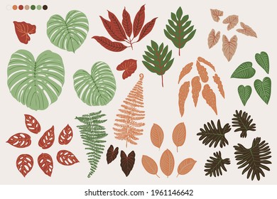 Tropics leaves vector beige 
 modern. Color green, trend ornament terra