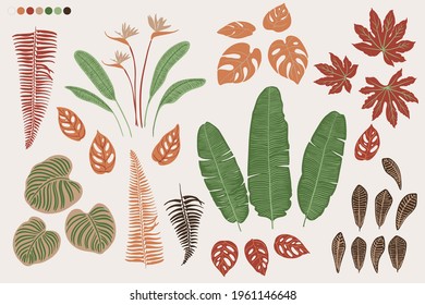 Tropics leaves vector beige 
 modern. Color green, trend ornament terra