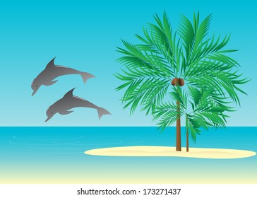 Tropics. The sea life, two dolphins about the tropical island with palm trees.