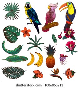 tropics set of vector illustrations, birds, flowers and leaves isolated on white background, hand drawing