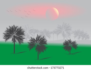  Tropics. Tropical landscape with Palm forest on a background of pink sunset and a flock of migratory birds