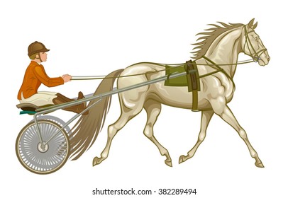 Trotter in harness