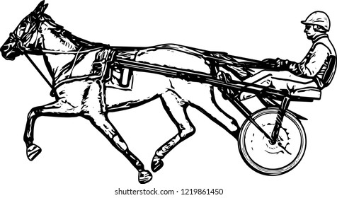 Trotter in harness drawing - vector