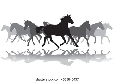 Trotting black and grey horses silhouette on white background vector illustration