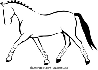Trotting sports horse, hand drawing illustrations 