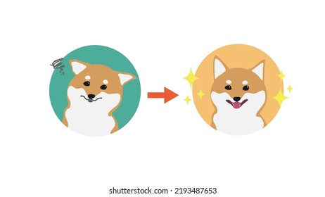 Troubled Shiba Inu before and after