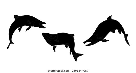 Trout black silhouette vector illustration. Set of fish Salmon monochrome sketch hand drawn. Nerka sea fish painted black outline. Sockeye drawing. Variety fish set for package, label, sign board.