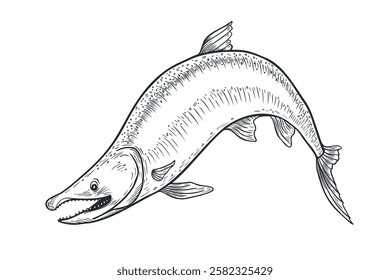 Trout black white vector illustration. Salmon monochrome sketch hand drawn. Nerka sea fish painted ink engraving art. Sockeye drawing in graphic. Design element for package, label, sign board.