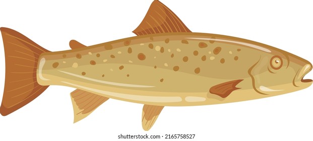 Trout cartoon icon. Swimming underwater animal character isolated on white background