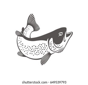 trout fish