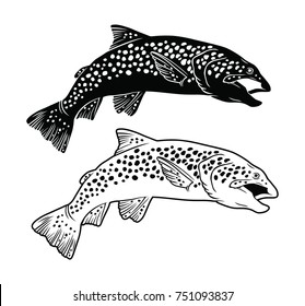 trout fish;