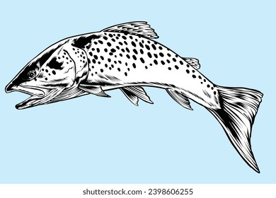 trout fish and fishing decoy illustration with hand drawn style for graphic tee and stickerdesign