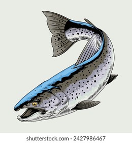 Trout Fish Hand Drawn Illustrasion