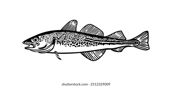 Truta peixe mão desenhado ilustração preto e branco. vintage design de estilo.