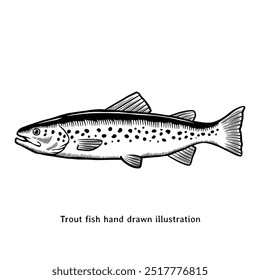 Forellenfisch-Illustration. Vintage Forelle handgezeichnete Illustration