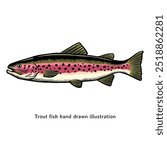 Trout fish illustration. Vintage rainbow trout fish hand drawn illustration