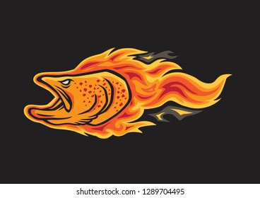 trout fish image