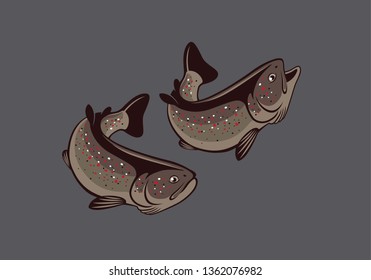 trout fish image