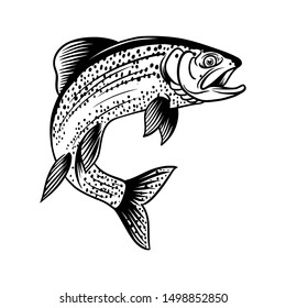 Trout fish jump out vintage illustration with handrawing style black in white background