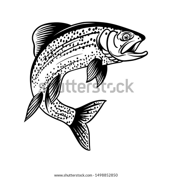 白い背景に手描きのスタイルのマス魚がビンテージイラストを飛び出す のベクター画像素材 ロイヤリティフリー
