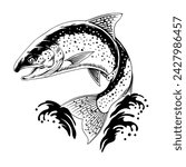 Trout Fish Jumping Hand Drawn Illustration