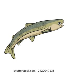 trout fish vector illustration editable separated layers