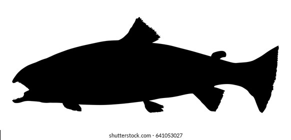 Trout fish vector silhouette. Oncorhynchus mykiss isolated over white background. Big fishing trophy.