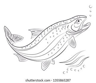 Trout fish in water
