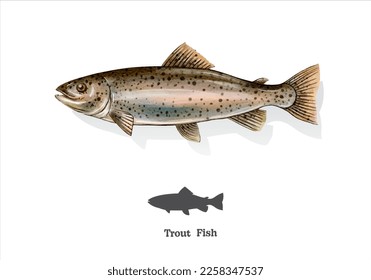 Trout fish watercolor sketch line art. vector illustration.
