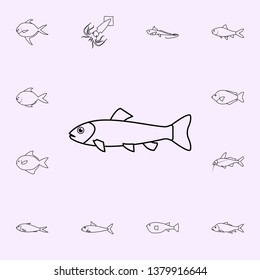 trout icon. Fish icons universal set for web and mobile