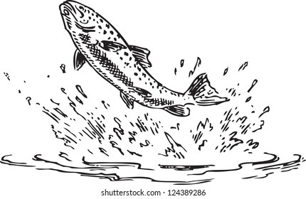 Trout jumping out of water, Figure done by hand. Vector illustration.