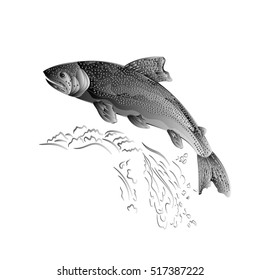Trout jumps  in stream salmon-predatory fish as wrought metal vintage vector illustration