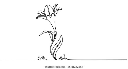 Trout Lily Flower Continuous Line Drawing with Varying Width Editable Stroke, Lily Continuous Line Drawing with Editable Stroke. Vector Pen and Ink Illustration, Single one line drawing of beauty. 