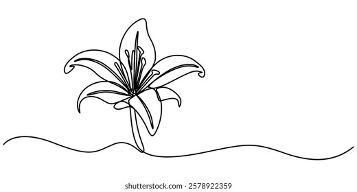 Trout Lily Flower Continuous Line Drawing with Varying Width Editable Stroke, Lily Continuous Line Drawing with Editable Stroke. Vector Pen and Ink Illustration, Single one line drawing of beauty. 