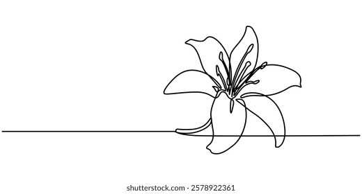 Trout Lily Flower Continuous Line Drawing with Varying Width Editable Stroke, Lily Continuous Line Drawing with Editable Stroke. Vector Pen and Ink Illustration, Single one line drawing of beauty. 