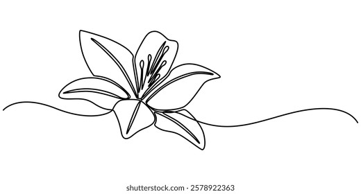 Trout Lily Flower Continuous Line Drawing with Varying Width Editable Stroke, Lily Continuous Line Drawing with Editable Stroke. Vector Pen and Ink Illustration, Single one line drawing of beauty. 