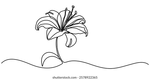 Trout Lily Flower Continuous Line Drawing with Varying Width Editable Stroke, Lily Continuous Line Drawing with Editable Stroke. Vector Pen and Ink Illustration, Single one line drawing of beauty. 