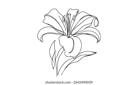 Trout Lily Flower Continuous Line Drawing with Varying Width Editable Stroke