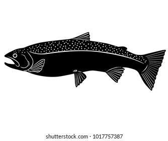 Trout On White Background Stock Vector (Royalty Free) 1017757387 ...