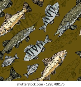 Trout, Perch, Pike, Crucian realistic ink sketches. Hand drawn vector seamless pattern of river fish. Vintage colorful fishing ornament. Design for wallpapers, background, wrap, textile, print, fabric