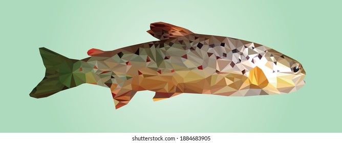 Trout. Poly fish vector image, Predatory fish